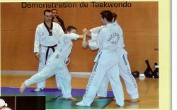 demo-de-taekwondo-2.jpg